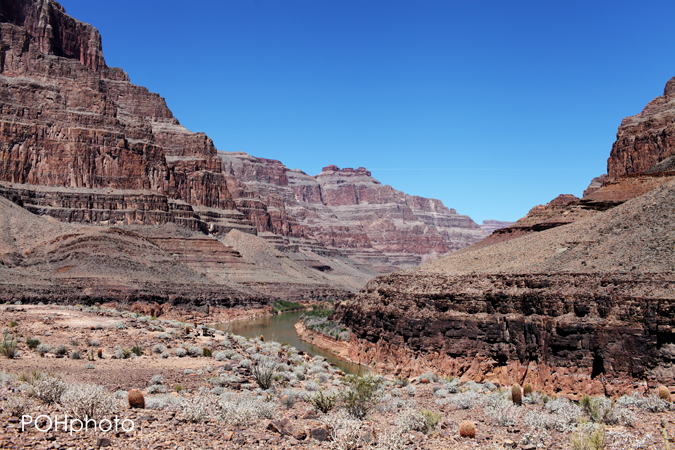 Photo of Grand Canyon